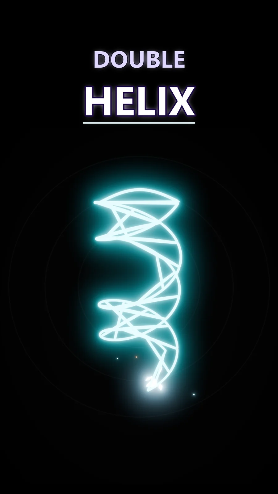 The Hidden Geometry Inside the DNA Double Helix